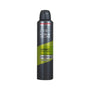 DOVE MEN + CARE DEO SPRAY 6/250 ml ( 6 pack )