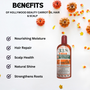 Hollywood Beauty Carrot Oil Hair & Scalp 8 oz