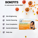 Labidjanaise Soap 180 g