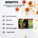 ORS Olive Oil No-Lye Relaxer System Normal Kit 1 Application