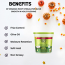 Organic Root Stimulator Olive Oil Smooth N Hold Pudding 13oz